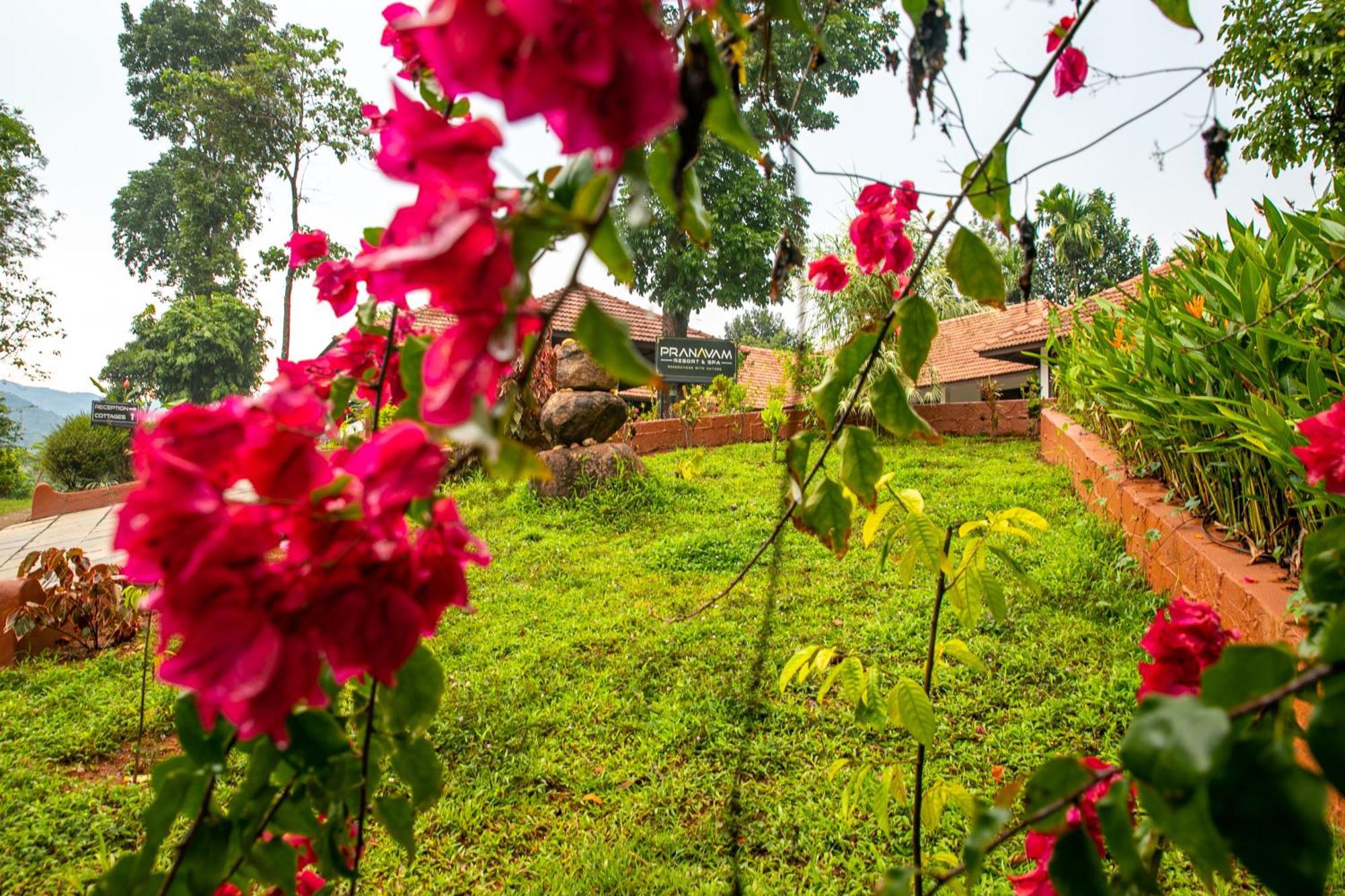 Pranavam Resort & Spa Tariyod Kültér fotó
